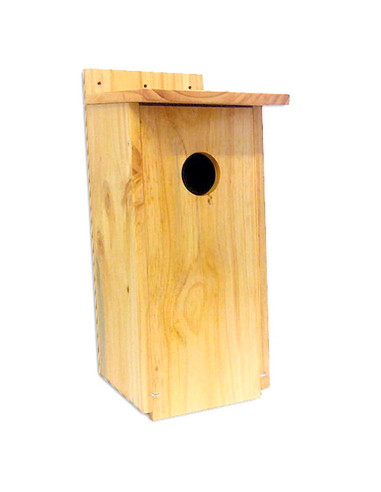 Caja nido para autillo en madera tratada