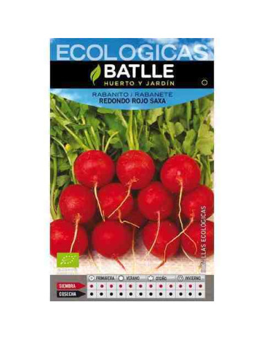 Semillas ecológicas de rabanito mediano largo rojo punta blanca 100g