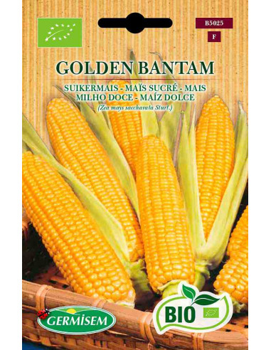 Semillas ecológicas de maíz dulce Golden Bantam