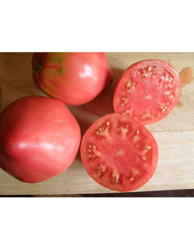 Semillas ecológicas de tomate corazón de buey del Lluis