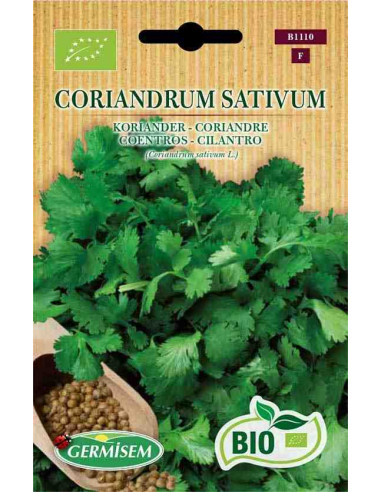 Semillas ecológicas de cilantro, coriandro (Coriandrum Sativum)