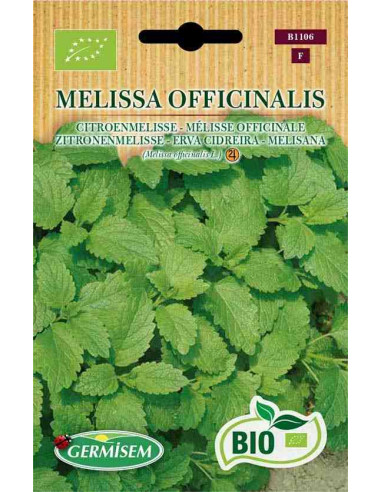 Semillas ecológicas de melisana (Melissa officinalis)