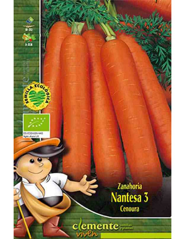 Semillas ecológicas de zanahoria nantesa 5 100g