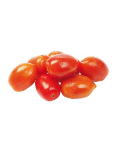 Plantel bio de tomate pera rastrero 6 unid.