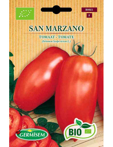 Semillas ecológicas de tomate San Marzano