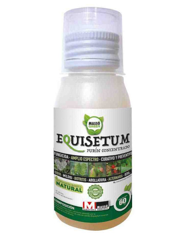 Equisetum, fungicida concentrado ecológico 60ml