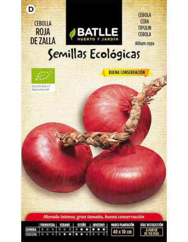 Semillas ecológicas de cebolla roja de Zalla 100g