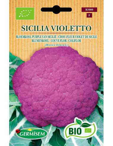 Semillas ecológicas de coliflor violeta de Sicilia