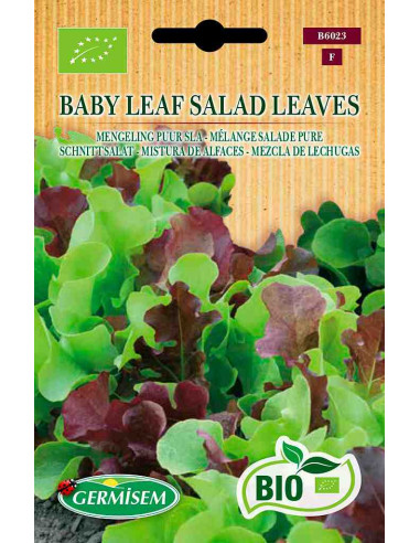 Semillas ecológicas de lechuga mezcla Baby Leaf