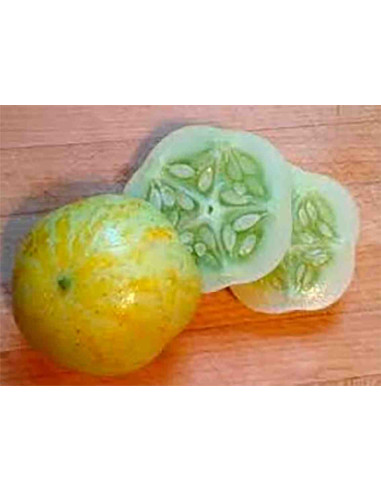 Semillas ecológicas de pepino limón