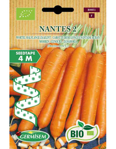Semillas ecológicas de zanahoria Nantes en cinta de 4m