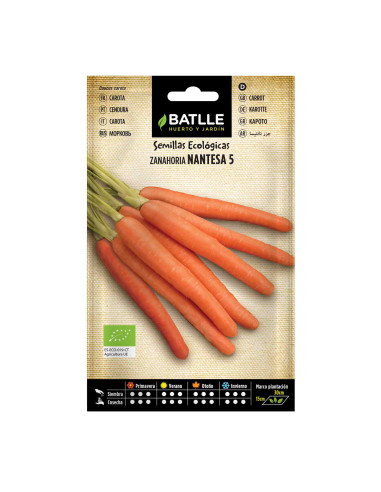 Semillas ecológicas de zanahoria nantesa 5