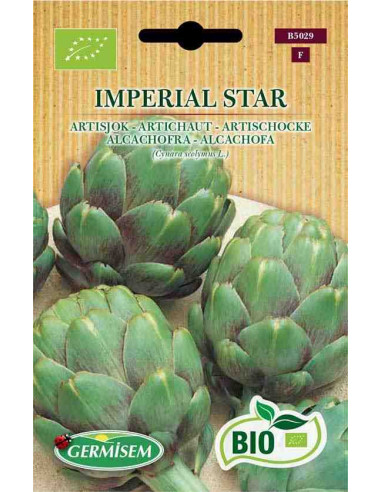 Semillas ecológicas de alcachofa imperial star