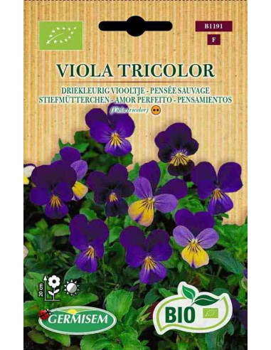 Semillas ecológicas pensamientos (Viola tricolor)