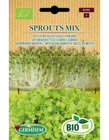 Semillas ecológicas de brotes de rúcula y alfalfa
