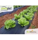 Acolchado biodegradable Enviroplast® Negro 1,2x100m