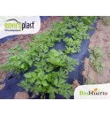 Acolchado biodegradable Enviroplast® Negro 1,2x100m