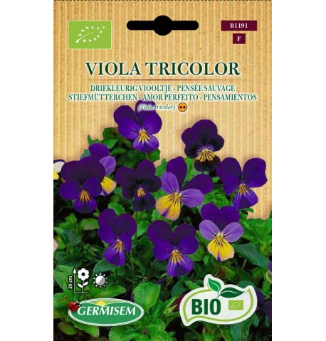 Pensamientos (Viola tricolor) ecológicos
