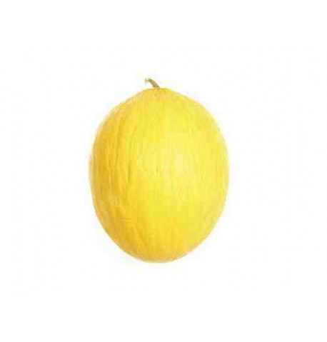 Plantel bio de melón amarillo 6 unid.