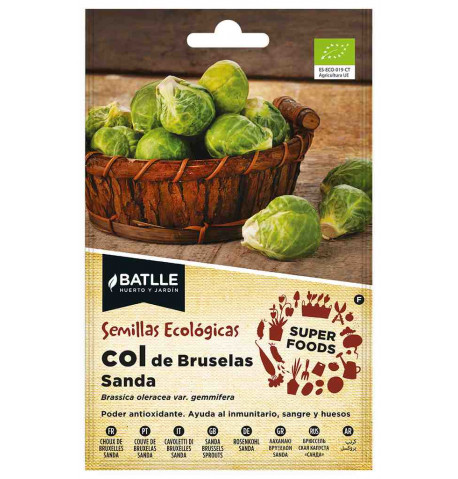 Semillas super food de Col de Bruselas Sanda ecológica