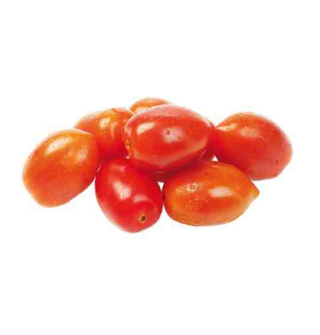 Plantel bio de tomate pera rastrero 6 unid.